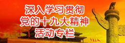 深入學習貫徹黨的十九大精神活動專題